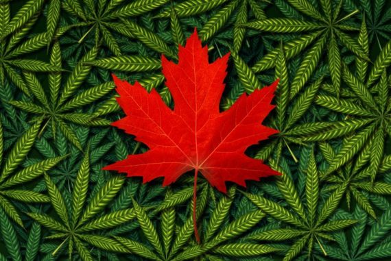 CANNABIS ACT