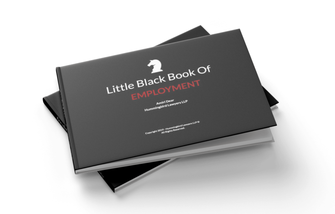 The Little Black Book Of Employment